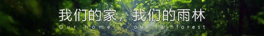 welcome-球速体育