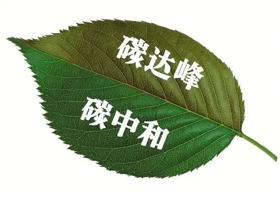 welcome-球速体育
